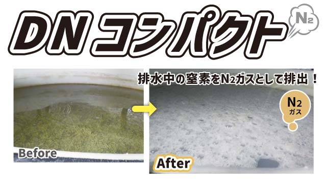 DNコンパクト