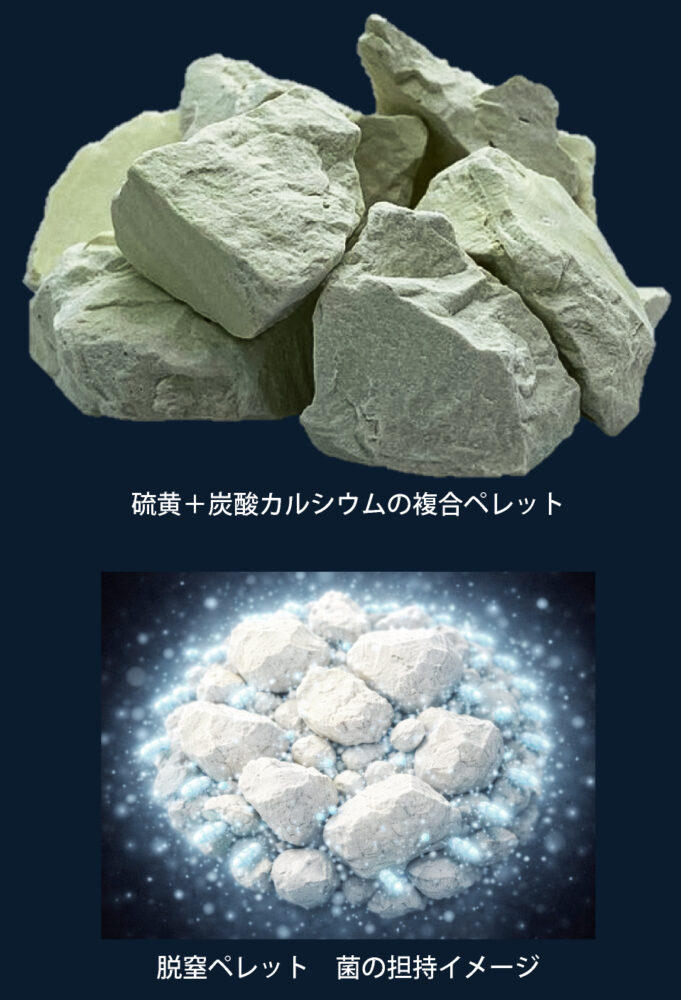 硫黄酸化脱窒菌のイメージと脱窒ペレット│QCL-SODP脱窒システム